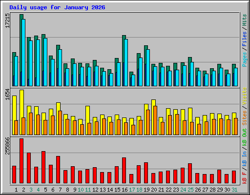 Daily usage for January 2026
