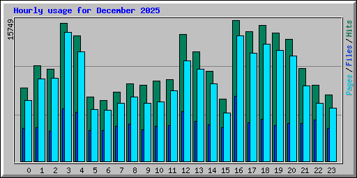 Hourly usage for December 2025