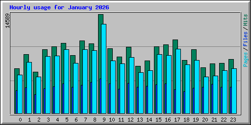 Hourly usage for January 2026
