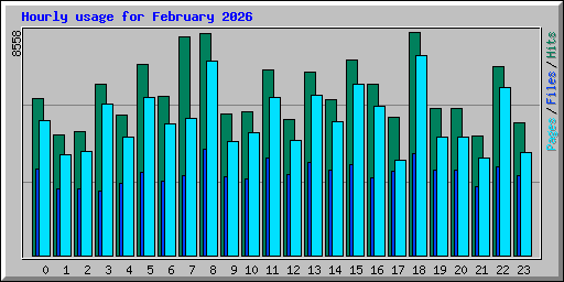 Hourly usage for February 2026